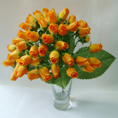 name:FY12530