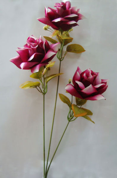 name:SR06006