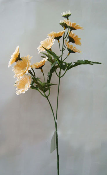 name:FS2107
