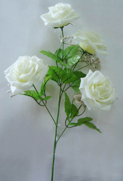 name:SR05680