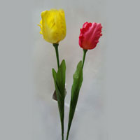 ST01238