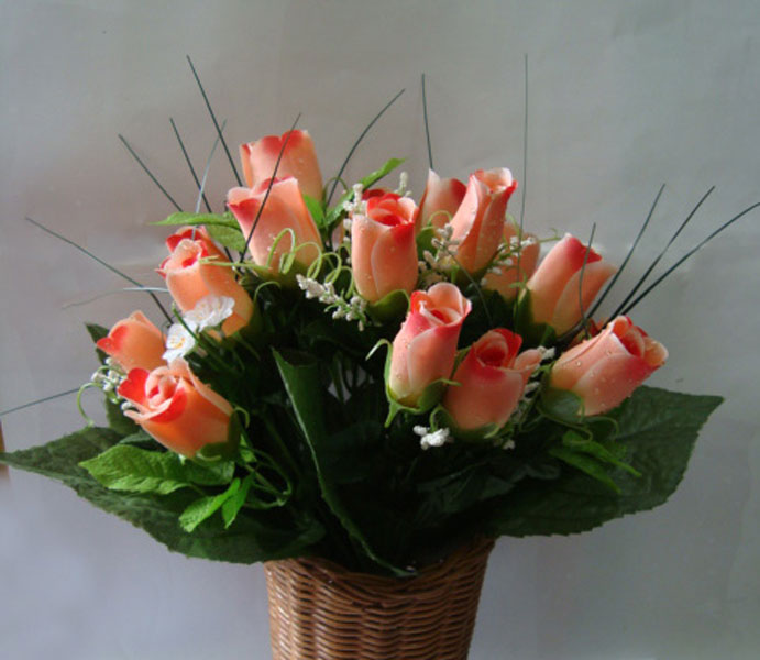 name:FY21309