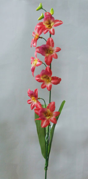 name:SI08007