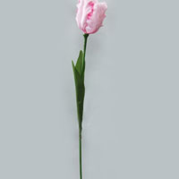 ST01238Pink