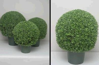 name:FY1120