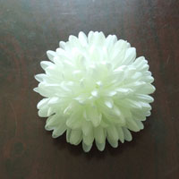 FY091230