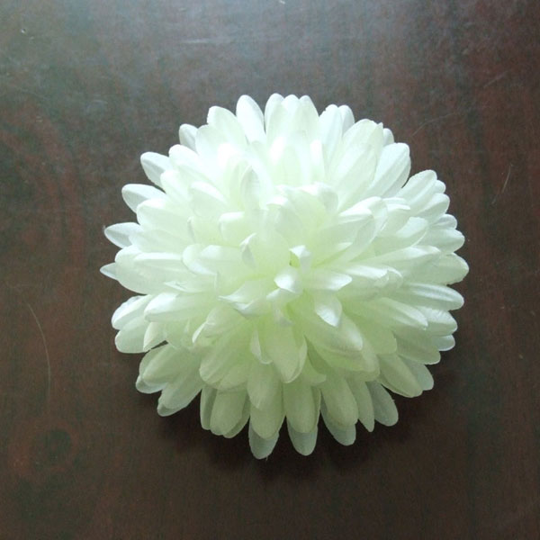 name:FY091230