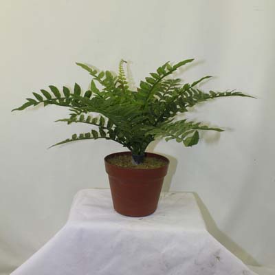 name:PL80014
