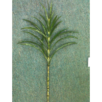FY0502