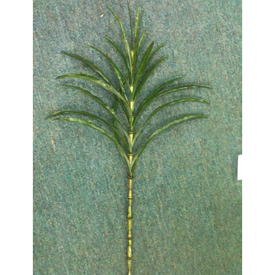 name:FY0502