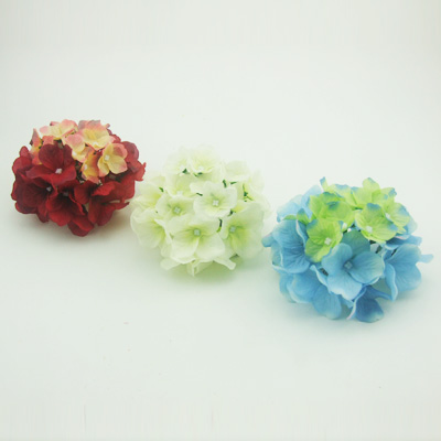name:FY0121P