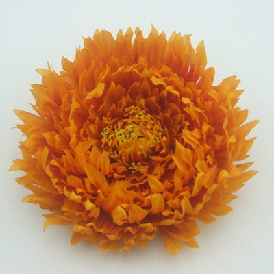 name:FY30390HEAD