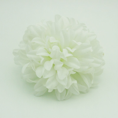 name:FY53190P
