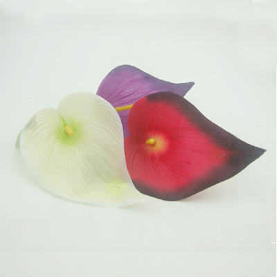 name:FY6621PH