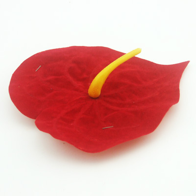 name:FY0122