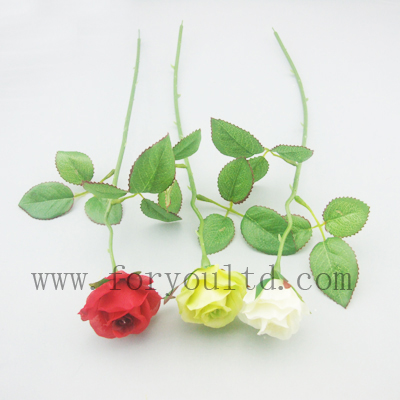 name:FLB541P