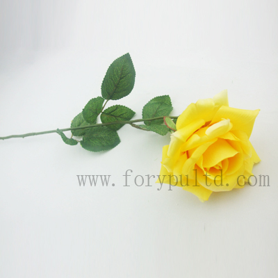 name:FLL030