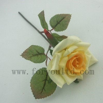 name:FLL461MP