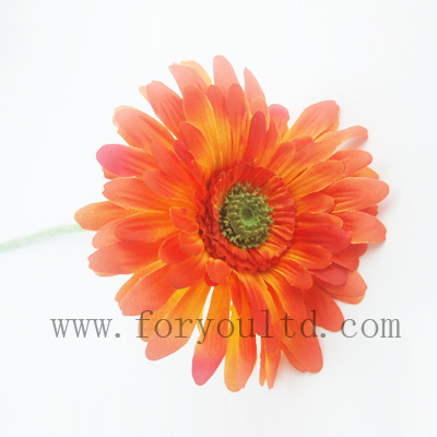 name:FLL041ST
