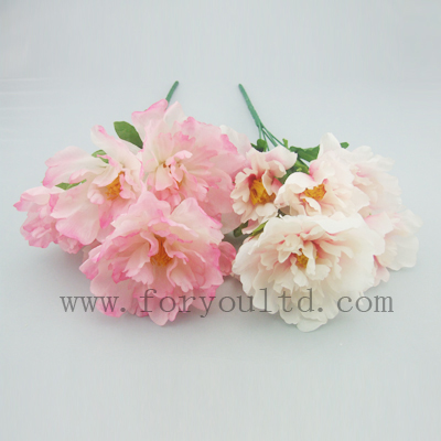 name:FLD251P
