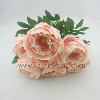 name:FLD661P