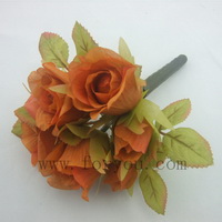 name:FLL480P