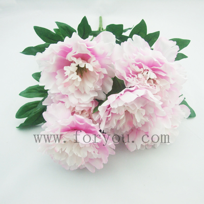 name:FLB671P