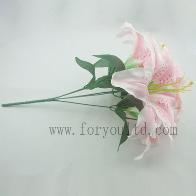 name:FLB751ST