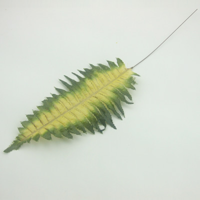 name:FZ810