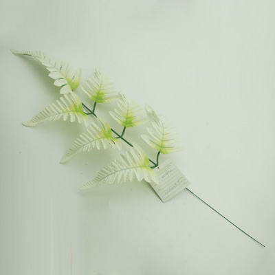name:FZ206
