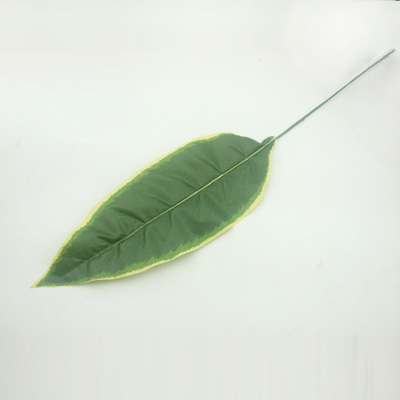 name:FZ171C