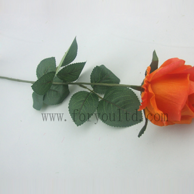 name:FLL220ST