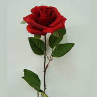 FY09396