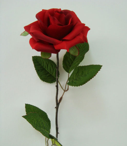 name:FY09396
