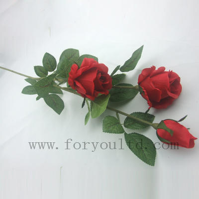 name:FLL470ST