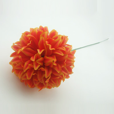 name:FY55290