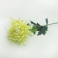 FY08111