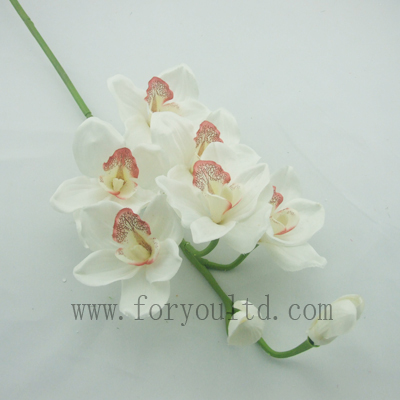 name:FLL240ST