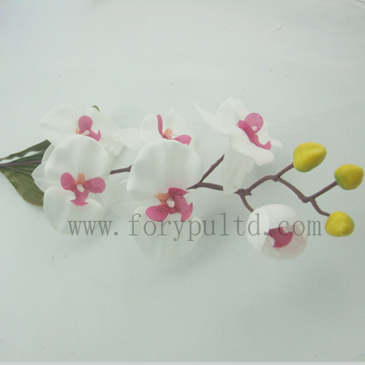 name:FLL490ST