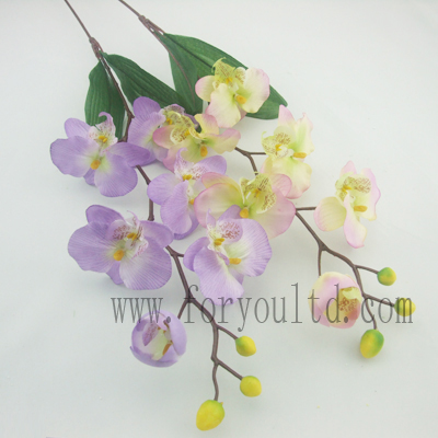 name:FLL27ST