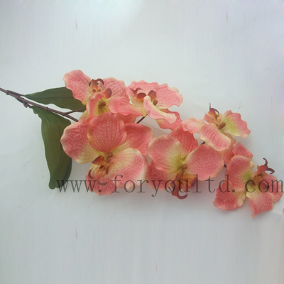 name:FLL370ST