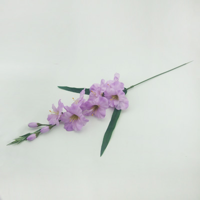 name:FY3900SAT
