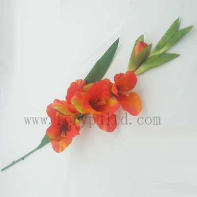 name:FLL580ST