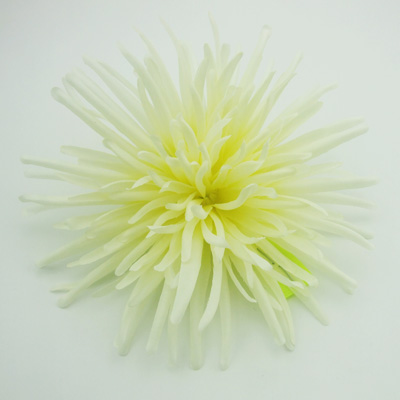 name:FY0313HEAD