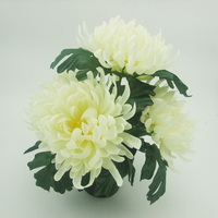 FY5022PX5T