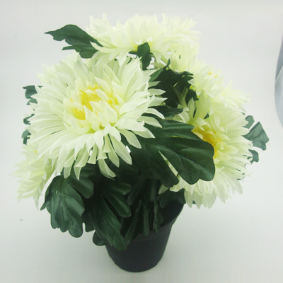 name:FY5022PX5T