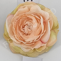 FY-T0852